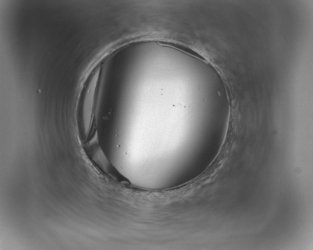 X0000073420007200608111403