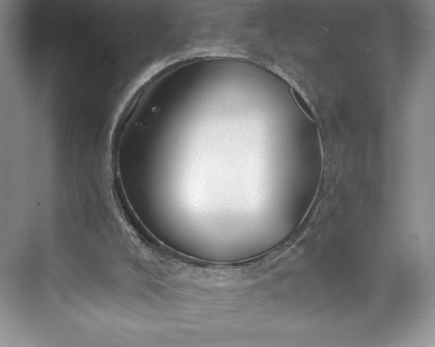 X0000073420008200608111403