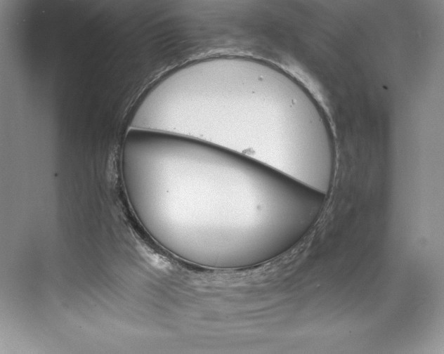 X0000073420009200608111403