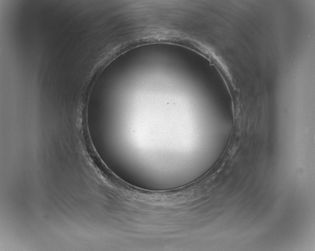 X0000073420010200608111403