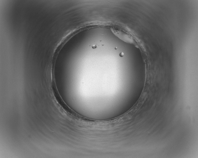 X0000073420011200608111403