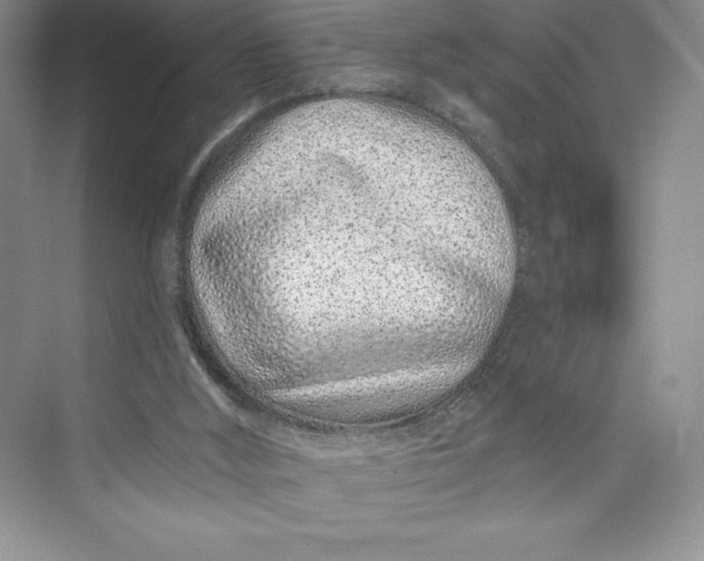 X0000073420012200608111403