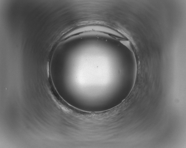 X0000073420013200608111403