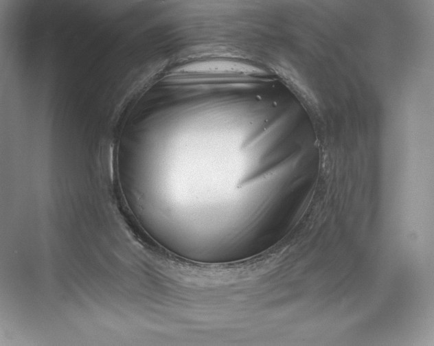 X0000073420014200608111403