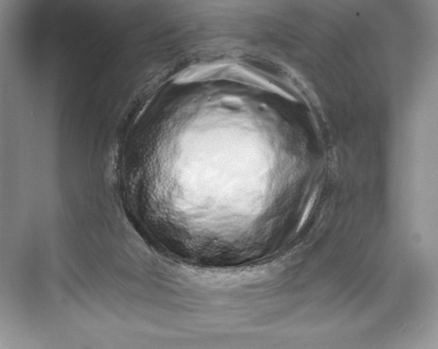 X0000073420018200608111403