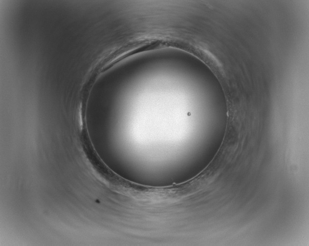 X0000073420020200608111403