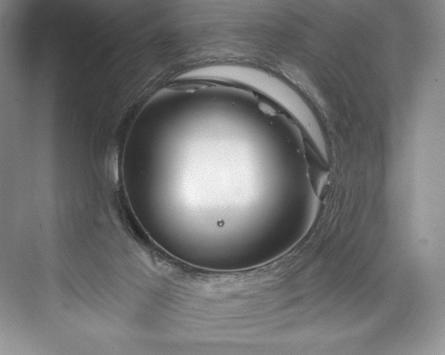 X0000073420021200608111403