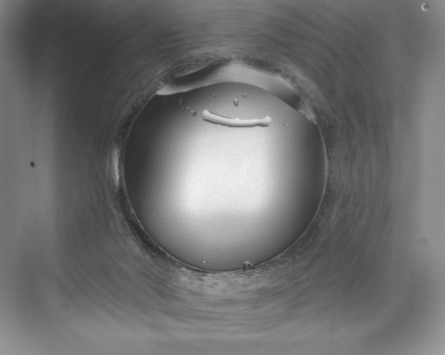 X0000073420022200608111403