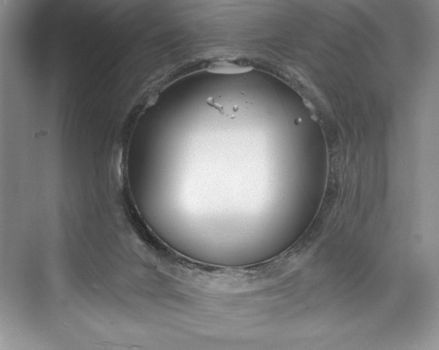 X0000073420024200608111403