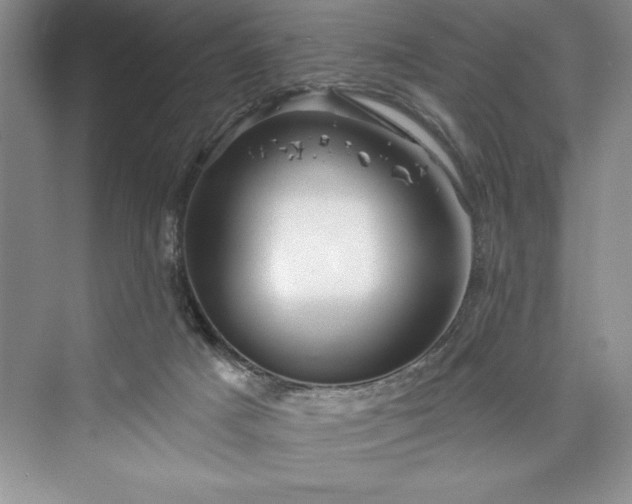 X0000073420025200608111403