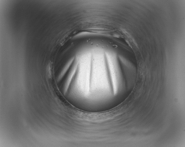 X0000073420026200608111403