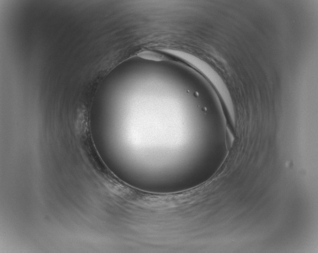 X0000073420029200608111402