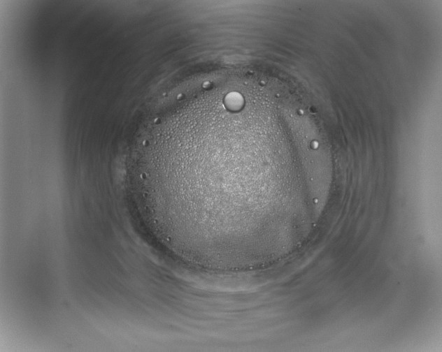 X0000073420032200608111402