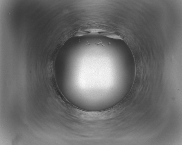 X0000073420034200608111402