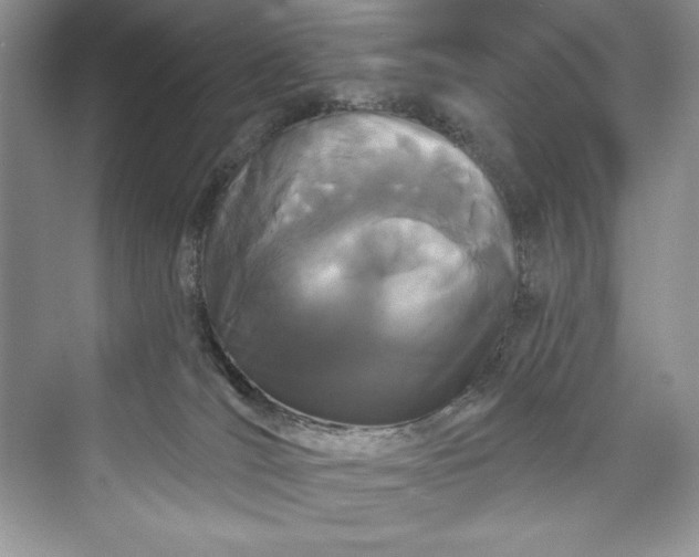 X0000073420036200608111402