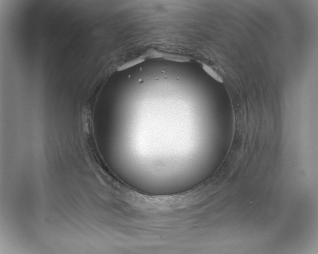 X0000073420038200608111402