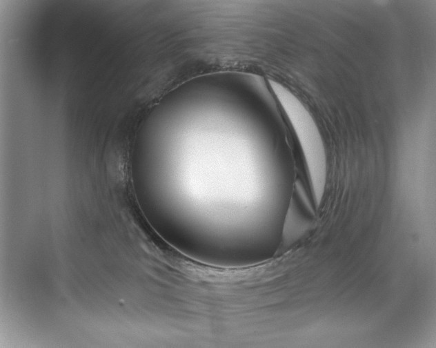 X0000073420039200608111402