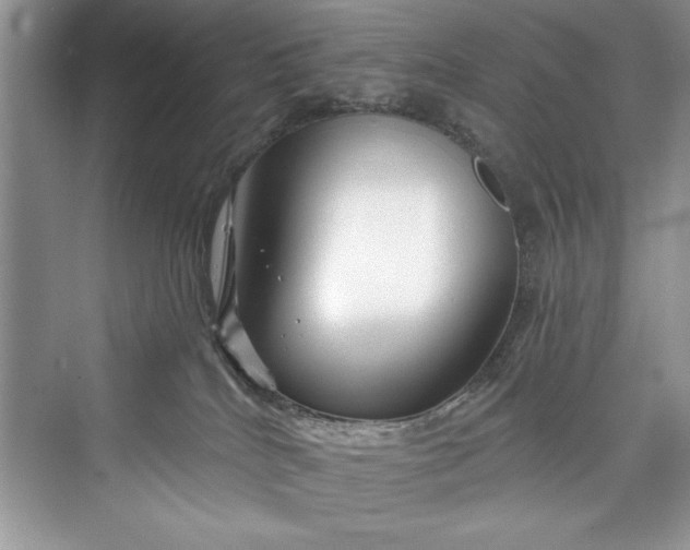 X0000073420040200608111402