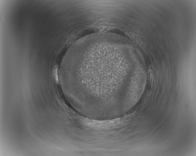 X0000073420042200608111402