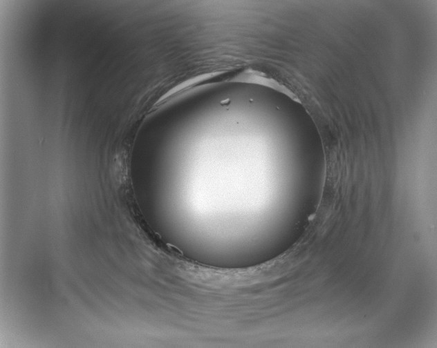 X0000073420043200608111402