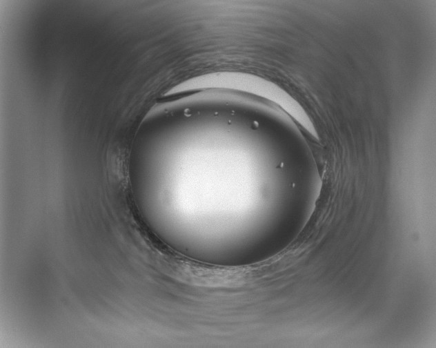 X0000073420044200608111402