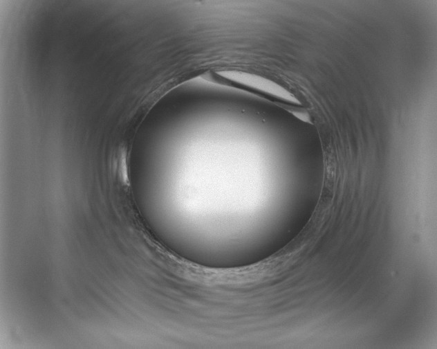 X0000073420046200608111402