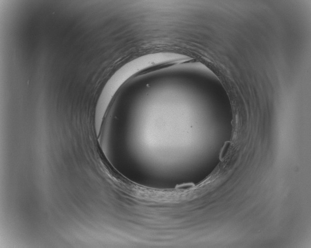 X0000073420048200608111402