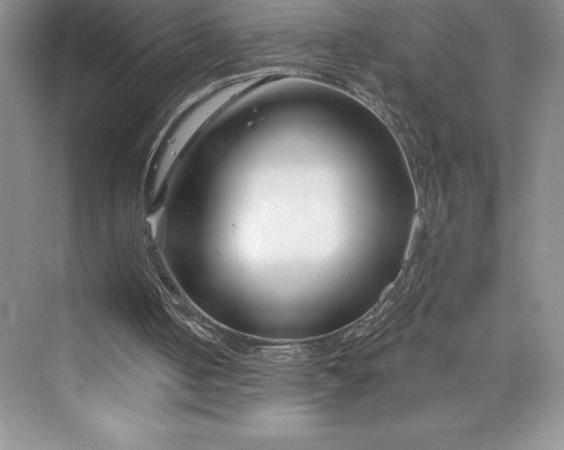 X0000073420050200608111401