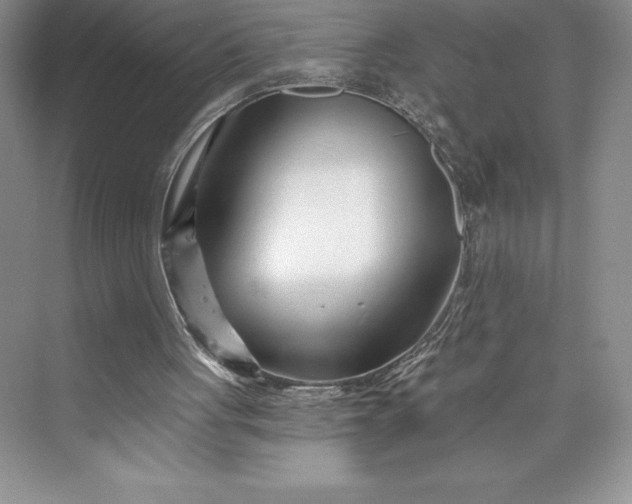 X0000073420051200608111401