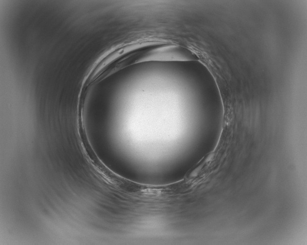 X0000073420052200608111401