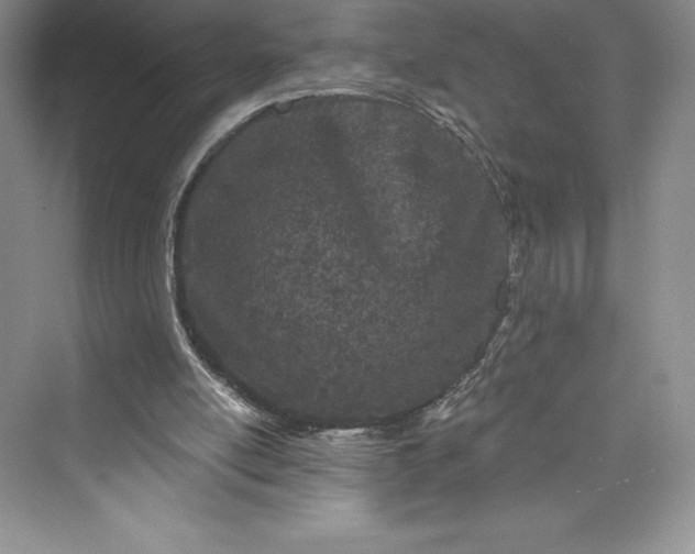 X0000073420054200608111401