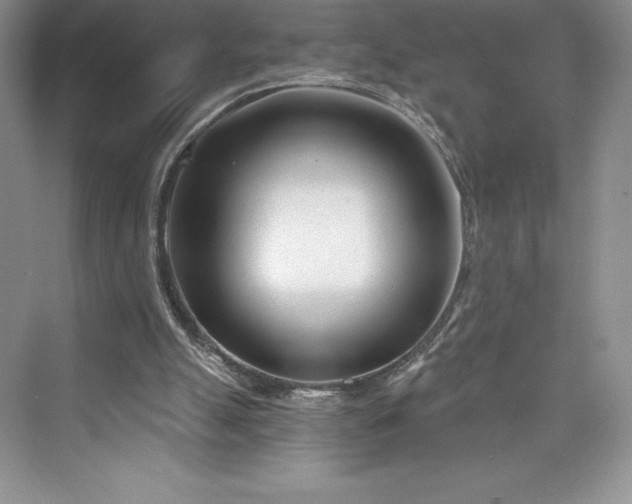 X0000073420055200608111401