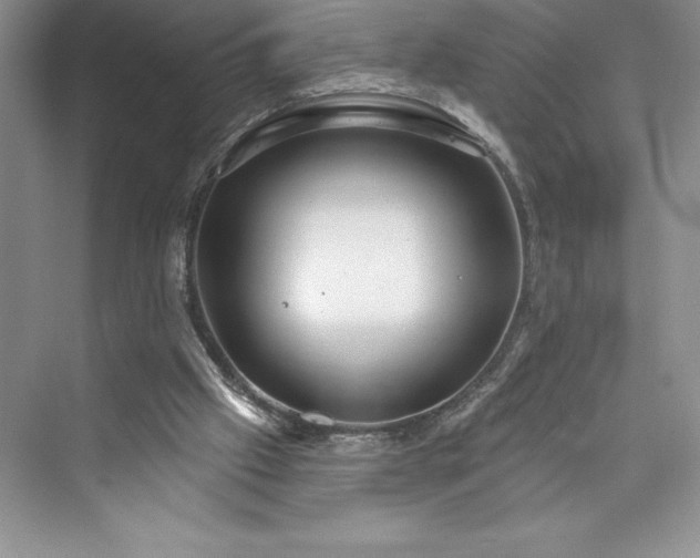 X0000073420057200608111401