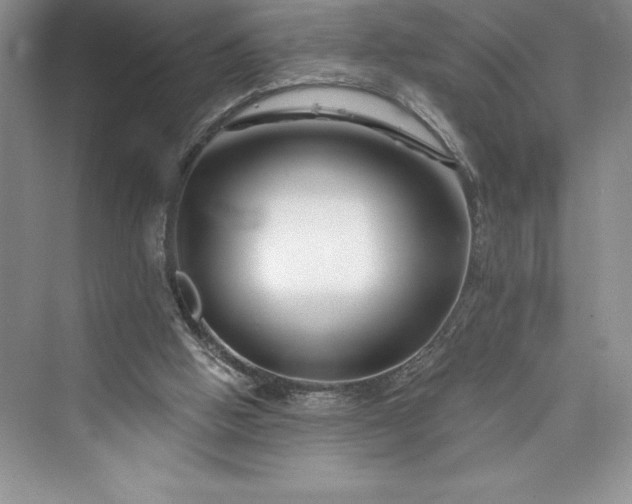 X0000073420058200608111401