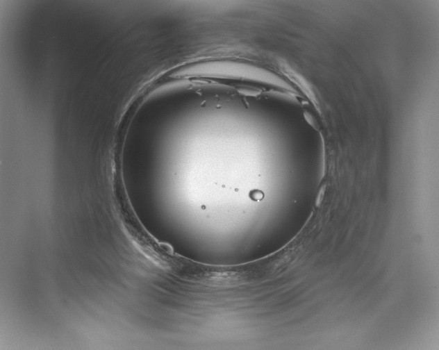 X0000073420059200608111402