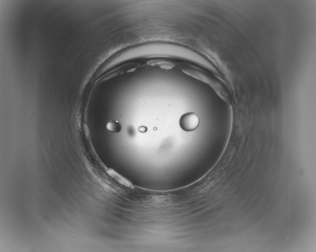 X0000073420060200608111402