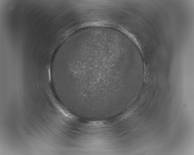 X0000073420061200608111402