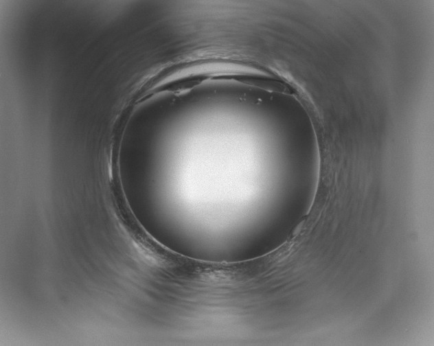 X0000073420062200608111402