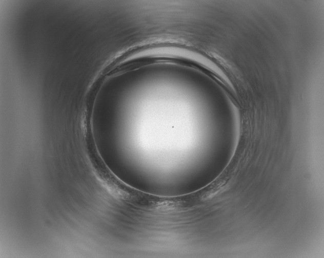 X0000073420064200608111402