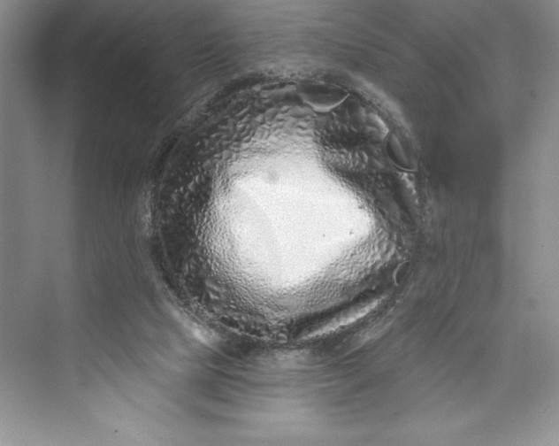 X0000073420065200608111402