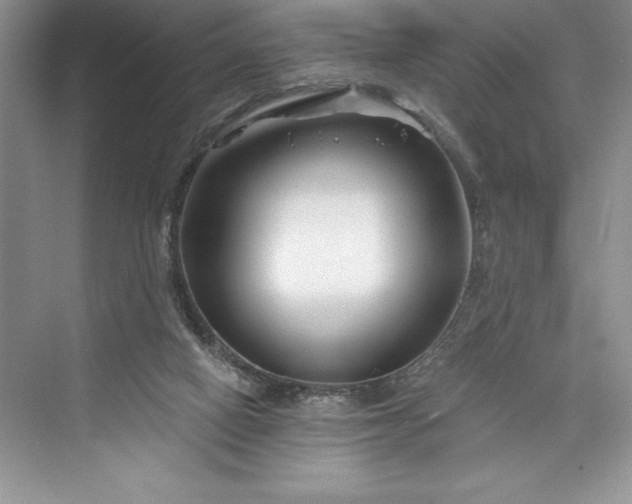 X0000073420066200608111402