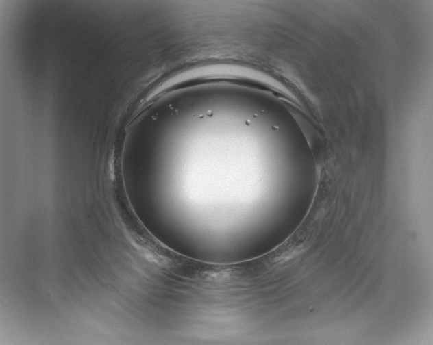 X0000073420068200608111402