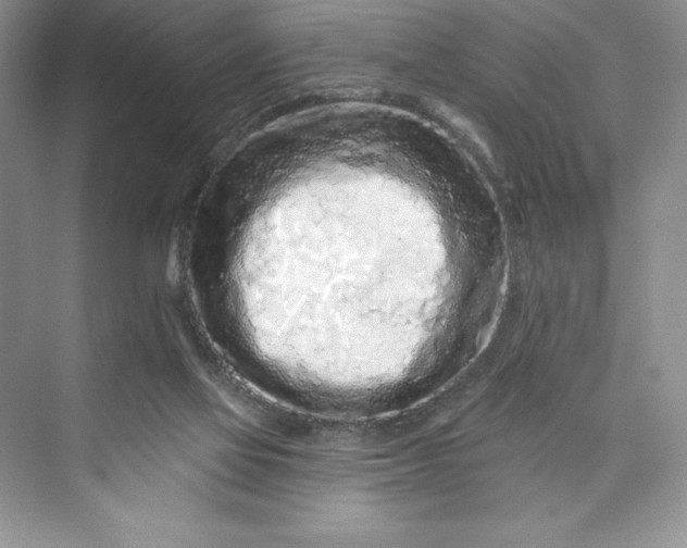 X0000073420069200608111402