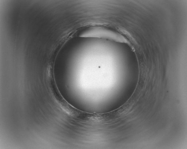 X0000073420071200608111402