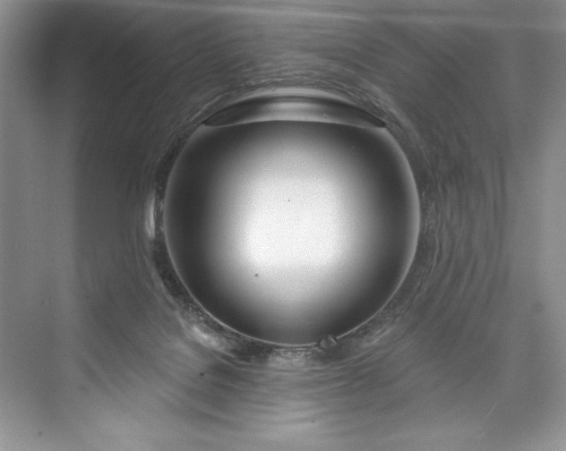 X0000073420076200608111402