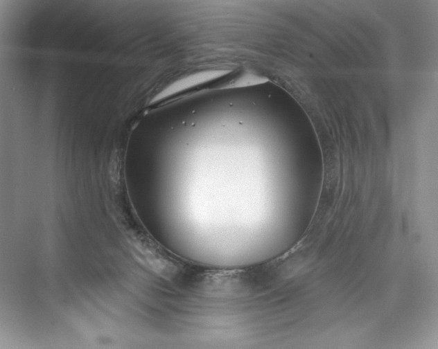 X0000073420078200608111402