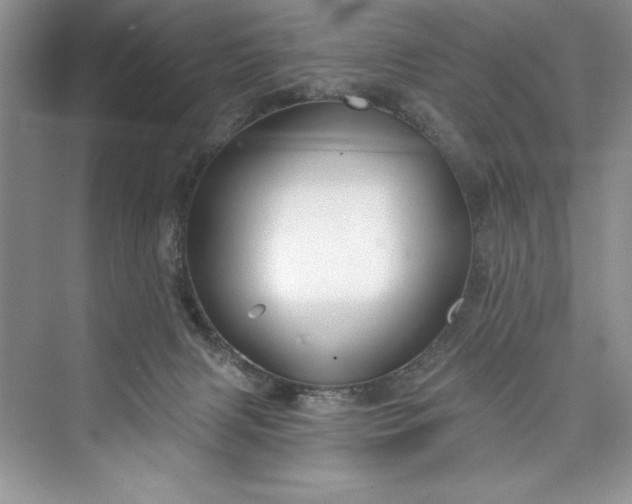 X0000073420079200608111402