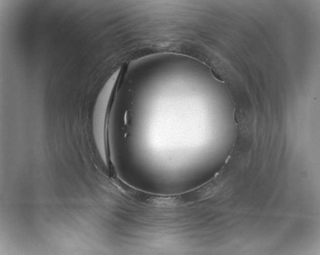 X0000073420085200608111402