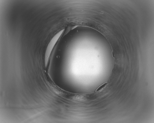 X0000073420086200608111402