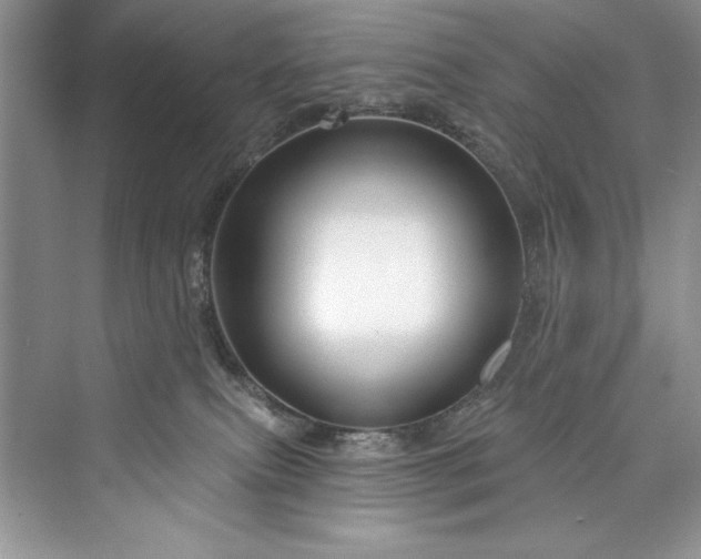 X0000073420087200608111402